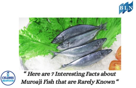 Here are 7 Interesting Facts about Muroaji Fish that are Rarely Known
